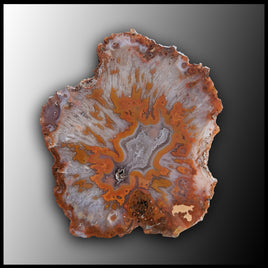 MRC237JR Moroccan Agate Specimen