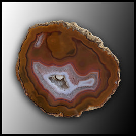 MRC242JR Moroccan Agate Specimen