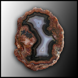 MRC246JR Moroccan Agate Specimen