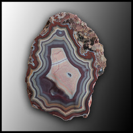 MRC248JR Moroccan Agate Specimen