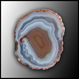 MRC249JR Moroccan Agate Specimen