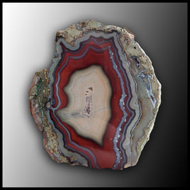 MRC251JR Moroccan Agate Specimen