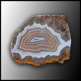 MRC253JR Moroccan Agate Specimen