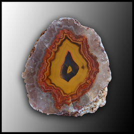 MRC256JR Moroccan Agate Specimen