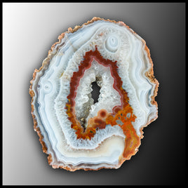 MRC270JR Moroccan Agate Specimen