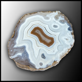 MRC271JR Moroccan Agate Specimen