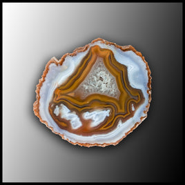 MRC272JR Moroccan Agate Specimen