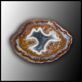 MRC274JR Moroccan Agate Specimen
