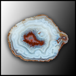 MRC275JR Moroccan Agate Specimen