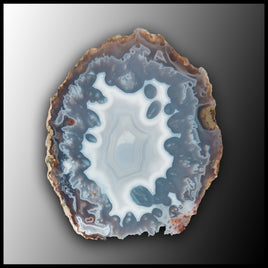 MRC277JR Moroccan Agate Specimen