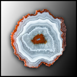 MRC288JR Moroccan Agate Specimen