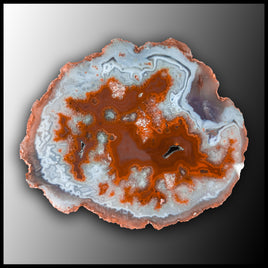 MRC293JR Moroccan Agate Specimen