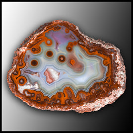 MRC294JR Moroccan Agate Specimen