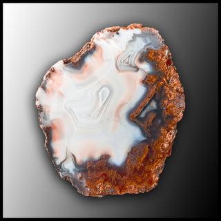 MRC303JR Moroccan Agate Specimen