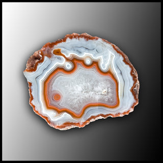 MRC308JR Moroccan Agate Specimen