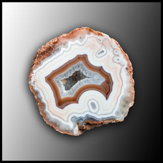 MRC309JR Moroccan Agate Specimen