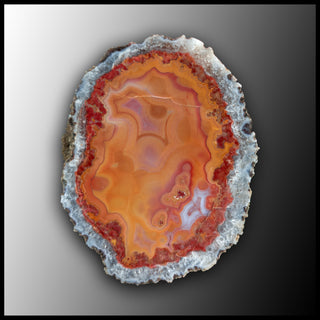 MRC313JR Moroccan Agate Specimen