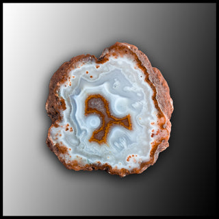 MRC316JR Moroccan Agate Specimen