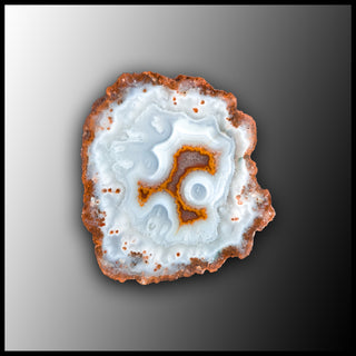 MRC317JR Moroccan Agate Specimen
