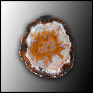 MRC318JR Moroccan Agate Specimen