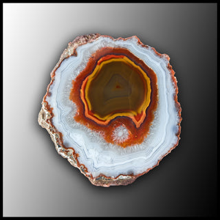 MRC321JR Moroccan Agate Specimen