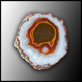 MRC321JR Moroccan Agate Specimen