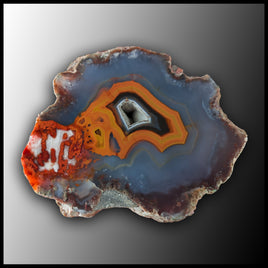 MRC323JR Moroccan Agate Specimen