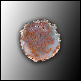 MRC324JR Moroccan Agate Specimen