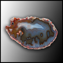 MRC326JR Moroccan Agate Specimen