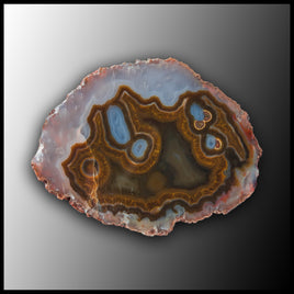 MRC327JR Moroccan Agate Specimen