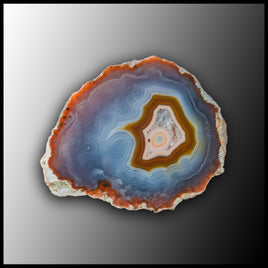 MRC329JR Moroccan Agate Specimen