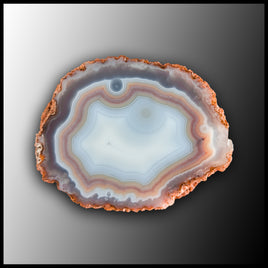 MRC335JR Moroccan Agate Specimen