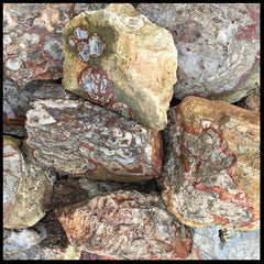 Mushroom Rhyolite, Rough Rock, per lb