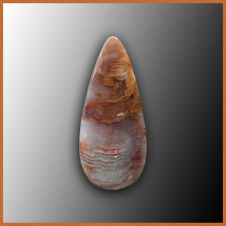 PET315c Petrified Wood Cabochon