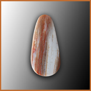 PET335c Petrified Wood Cabochon
