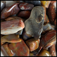 Petrified Wood, Tumbled Stone, 1 lb lot