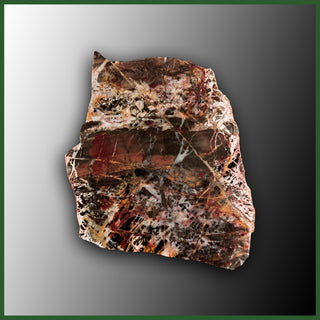 PIL102 Pilbara Jasper Specimen