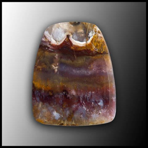 PLU137c Sunny Slope Plume Agate Cabochon