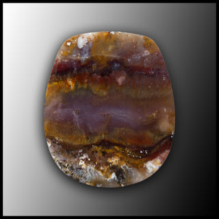 PLU141c Sunny Slope Plume Agate Cabochon