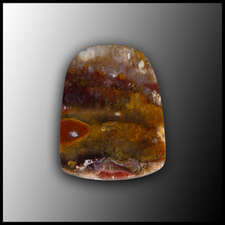 PLU147c Sunny Slope Plume Agate Cabochon