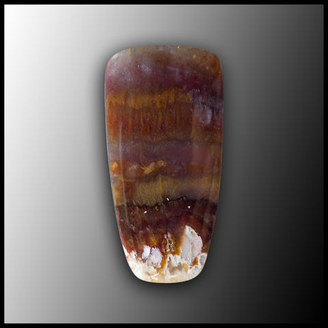PLU148c Sunny Slope Plume Agate Cabochon