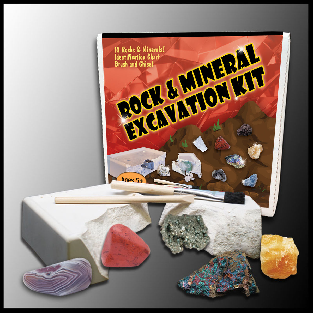 Rock Extraction Kit Rock & Mineral Excavation Kit| The Gem Shop, Inc.