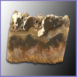 RRP111 Regency Rose Plume Agate Specimen
