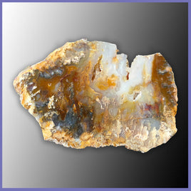 RRP150 Graveyard Point Plume Agate Polished Slab