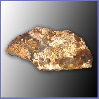 RRP157 Graveyard Point Plume Agate Slab