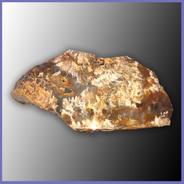 RRP157 Graveyard Point Plume Agate Slab