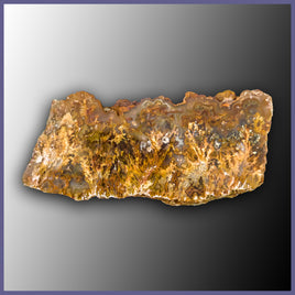 RRP176 Regency Rose Plume Agate Specimen