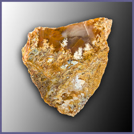 RRP179 Regency Rose Plume Agate Specimen