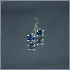 RSJ286 Blue Sapphire Earrings