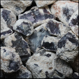 Salvia Purple Chalcedony #2, 5 lb lot